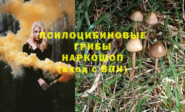 первитин Алексин