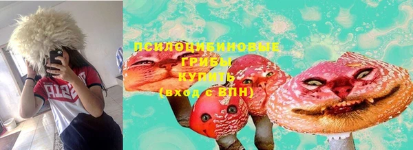 дурь Алзамай