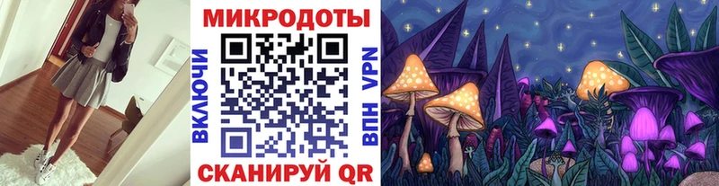 наркошоп  Каневская  Псилоцибиновые грибы MAGIC MUSHROOMS 